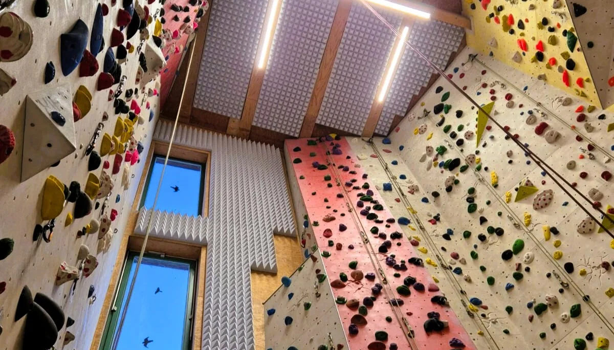 © DAV Mainz | Damian Kaluza