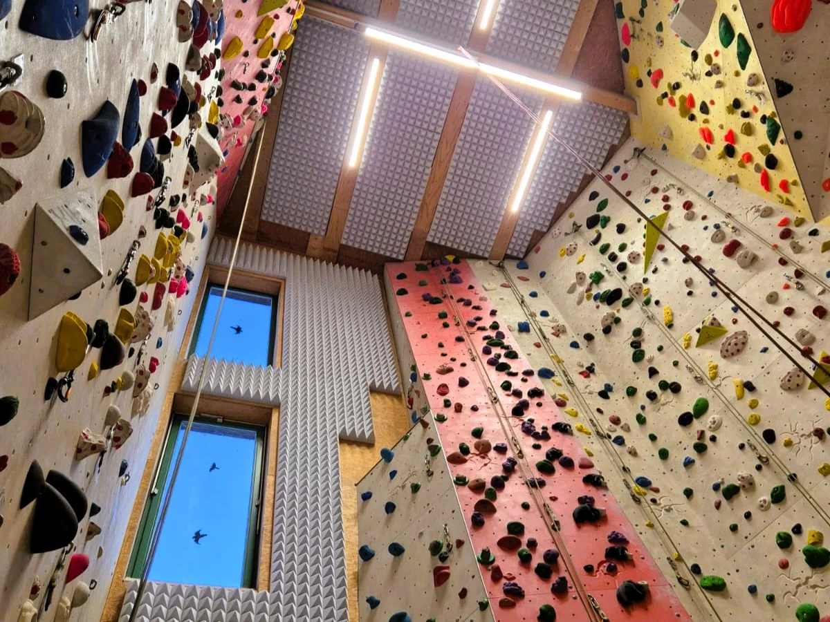 © DAV Mainz | Damian Kaluza