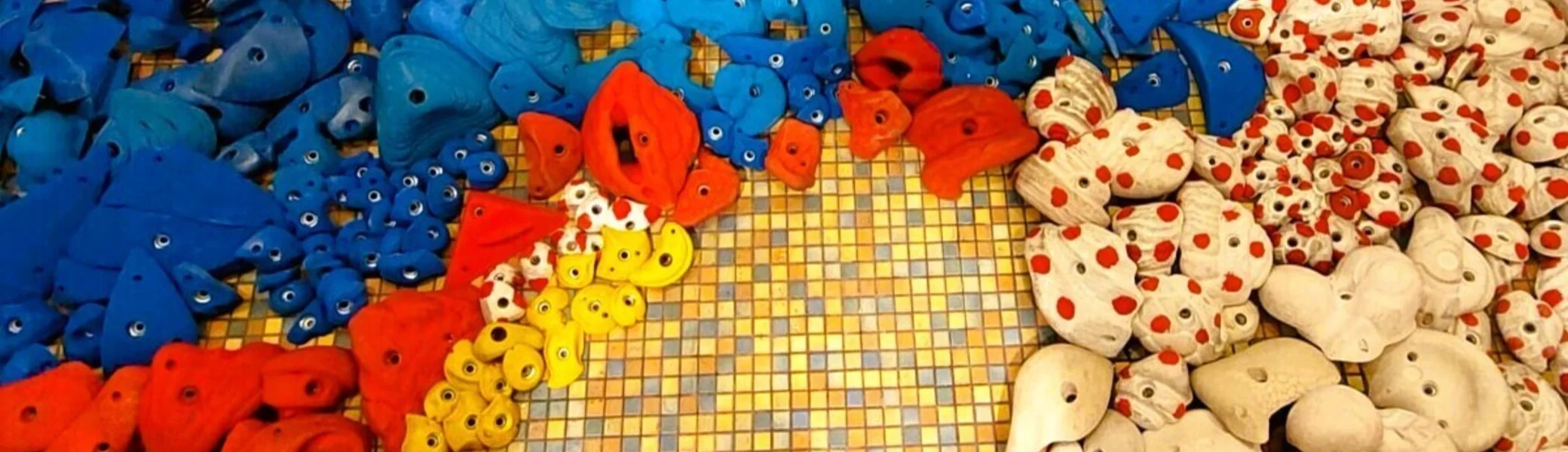 © Timo Augstein | DAV Mainz