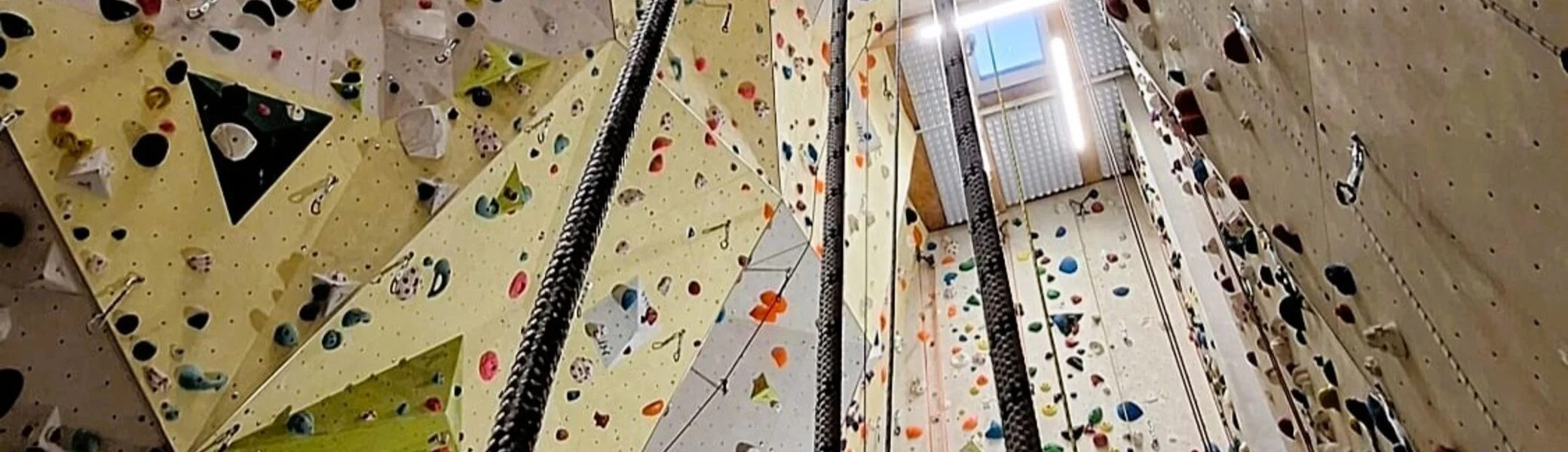 © DAV Kletterzentrum Mainz