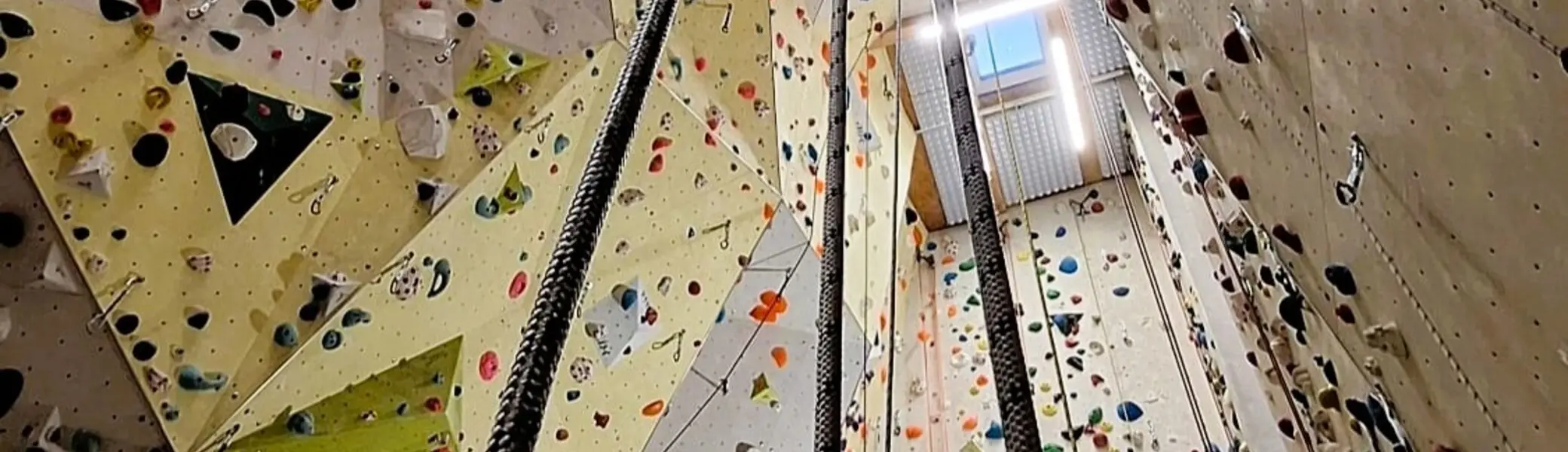 © DAV Kletterzentrum Mainz